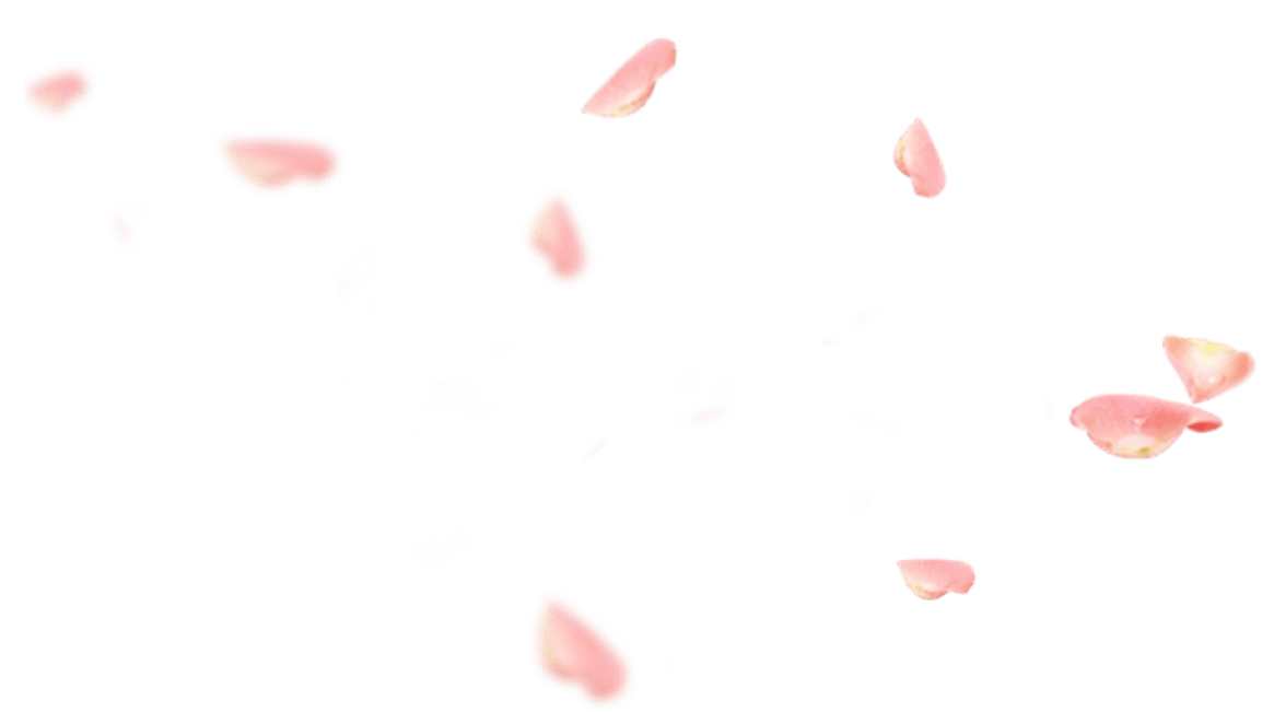 flowers background